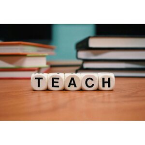 Vink OnderWIJS! image 2