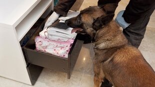 Aanhoudingen na drugsonderzoek