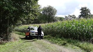 Politie treft meerdere wapens aan op bosperceel
