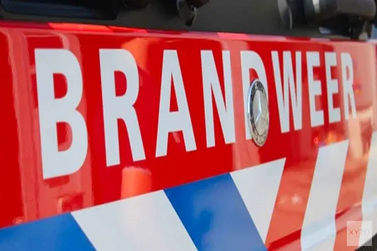 Politie onderzoekt brandstichting van drie personenauto’s