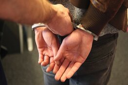 Aanhouding na vondst wapens in bos Zwolle