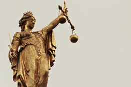 TBS en 9 jaar celstraf voor doden moeder in Heerde