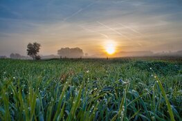 Mei begint droog en fris, later in de week warmer