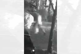 Gezocht: Brandstichting auto Leie