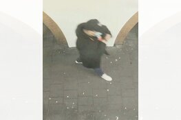 Gezocht: Poging Fraude Friesewal Zwolle