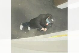 Gezocht: Poging Fraude Friesewal Zwolle