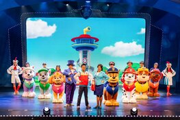 PAW Patrol Live! komt naar Zwolle