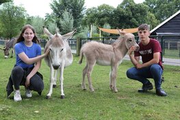 Senioren op pad bij Kinderboerderijen Zwolle