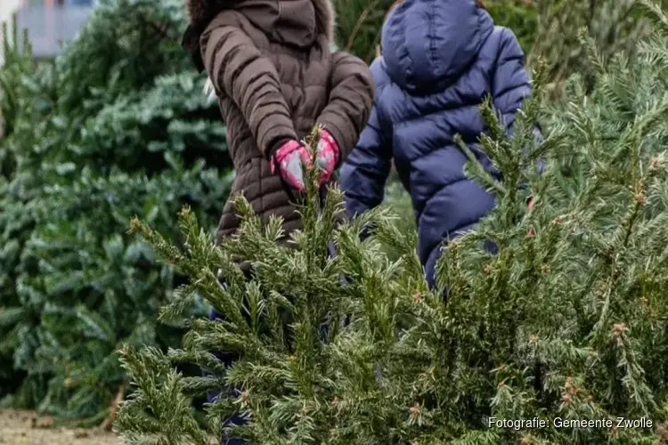 Kerstbomen inleveren op 4 en 11 januari 2023