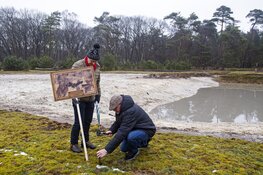 Natuurmonumenten zet een Route van Verloren Soorten uit