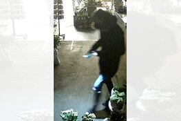 Gezocht: Diefstal Zeven Alleetjes