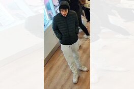 Gezocht: Diefstal Diezerstraat Zwolle