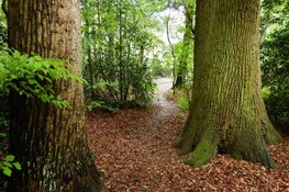 Het best bewaarde geheim van Wezep