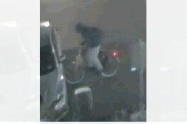 Gezocht: Vernielingen auto’s Willemskade