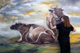 Cibap studenten tonen hun werk bij de expositie &#39;Sense of Place&#39; in Academiehuis Zwolle