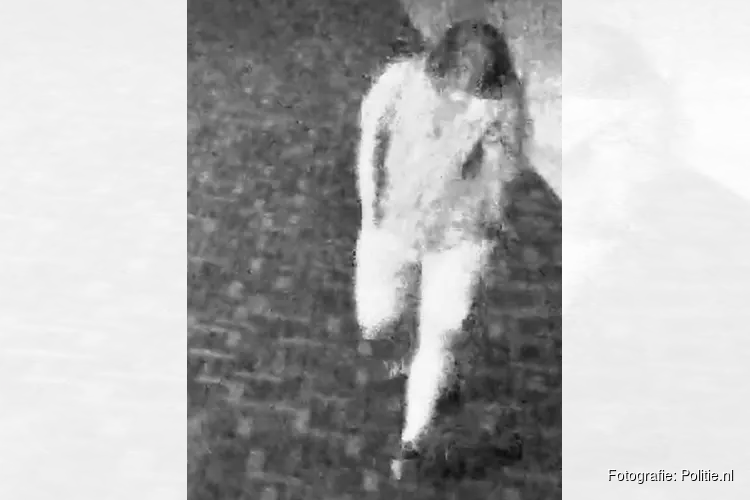 Gezocht: Vernieling auto Schuurmanstraat