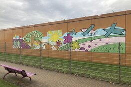 Nieuw uitzicht gedetineerden PI Zwolle dankzij schilderproject