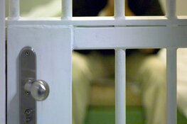 Gevluchte Belgische veroordeelde zedendelinquent opgepakt in Zwolle