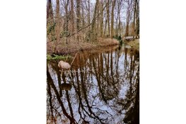 Zandhove: Van buitenplaats tot stadspark