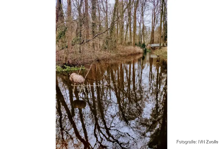 Zandhove: Van buitenplaats tot stadspark