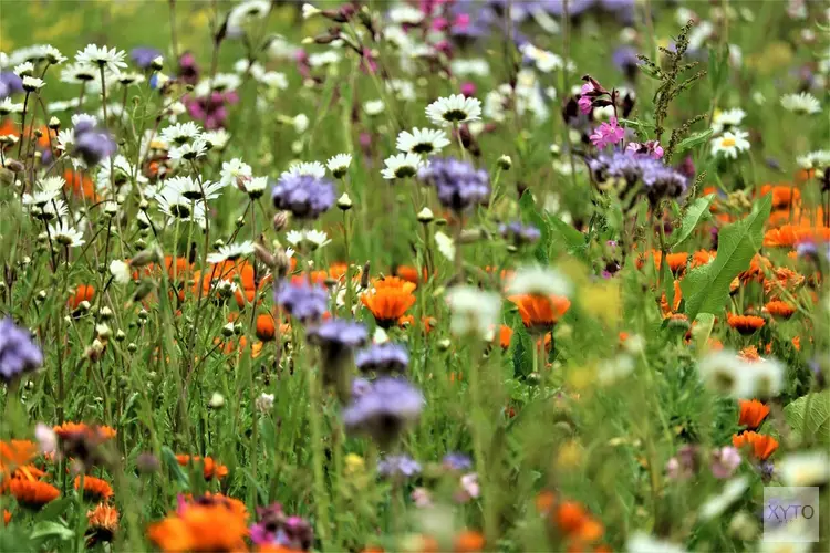 Overijssel maakt 9 miljoen vrij voor natuurinitiatieven