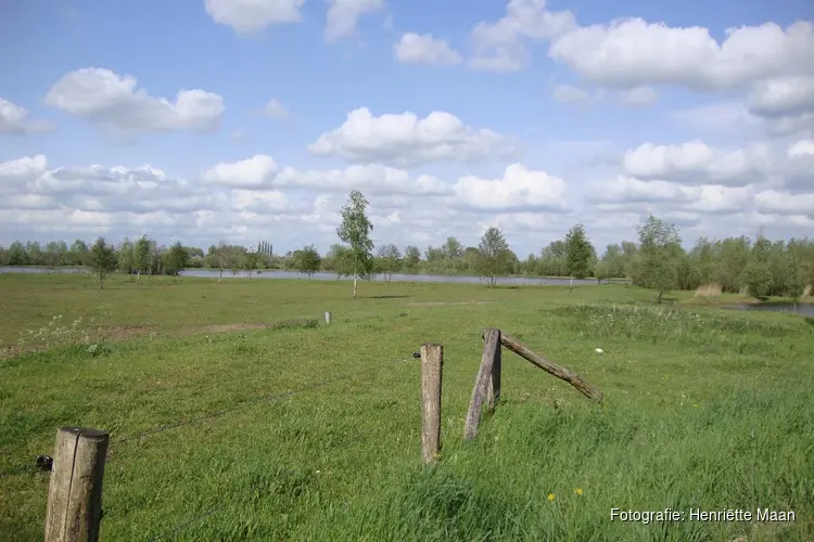 Voorjaar in de IJsseluiterwaarden bij Hattem: IVN-excursie rond de Wiessenbergsche Kolk