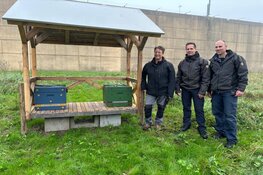 ‘Groene’ gevangenis Zwolle biedt plek aan bijen en insecten