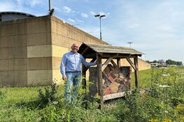 ‘Groene’ gevangenis Zwolle biedt plek aan bijen en insecten