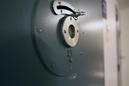 Negen maanden cel voor kinderen onttrekken aan gezag