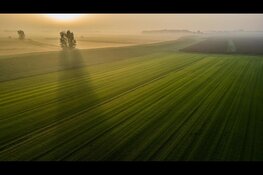 Toekomstbestendig platteland: Boeren presenteren plannen voor Baarlingerpolder