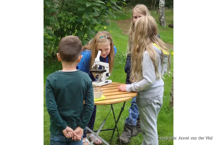 Kinderactiviteit op de Nooterhof