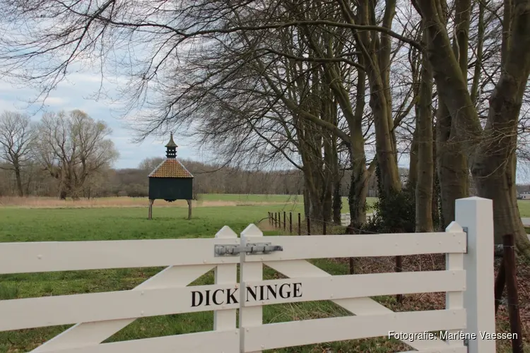 IVN excursie op Landgoed Dickninge