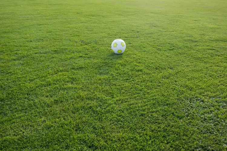 Gemeente Zwolle vindt nieuwe huurder voor sportcomplex De Pelikaan