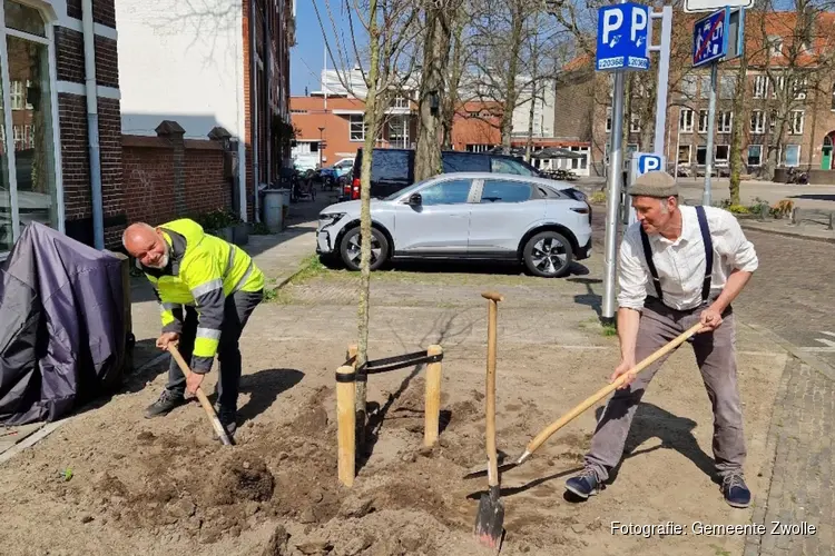 Acht klimaatbomen geplant in Assendorp