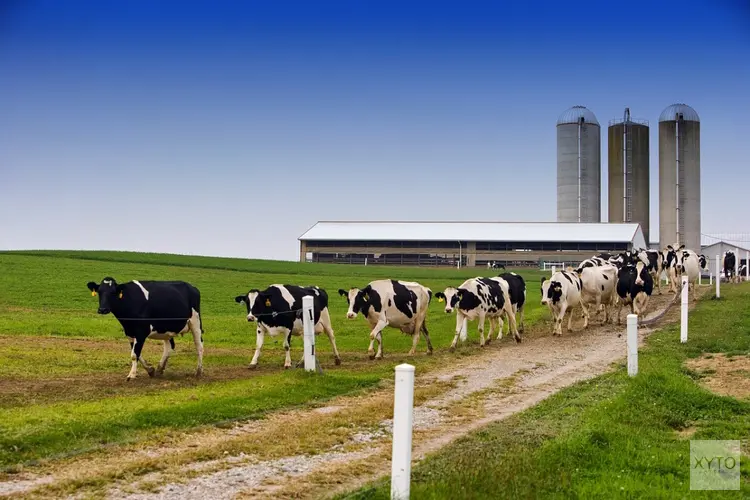 Onderzoek biedt aanknopingspunten voor betere mentale steun aan boeren