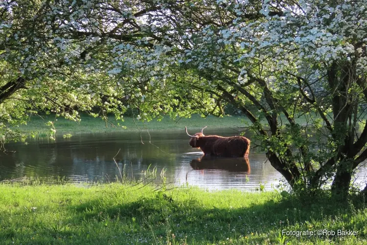 Wandel mee en ontdek de waarde van natuur langs de IJssel