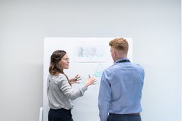 ZZP'en voor de overheid: jouw kans op impactvolle projecten