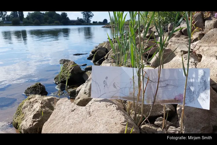 "Excursie met IVN Zwolle e.o.: Struin, kijk, schets en zie meer"