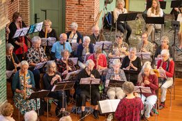 Orkest Huismuziek Zwolle organiseert Open Speeldag