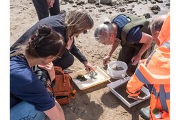 Grote belangstelling voor excursies langs de IJssel