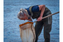 Grote belangstelling voor excursies langs de IJssel
