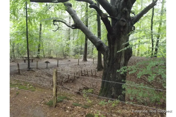 Natuurwandeling langs het water van Molecaten