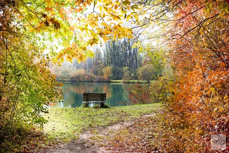 November start met buien, later in de week droger en zachter