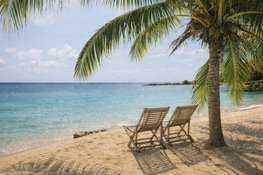 Van overleven naar voluit leven!