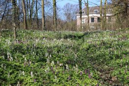 Excursie op Landgoed Dickninge
