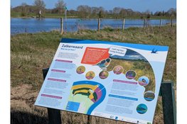 Ga mee struinen in het Zalkerbos en de IJsseluiterwaarden