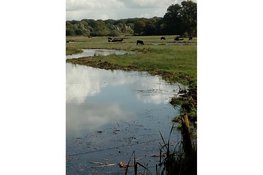 Ontdek mooi Hoonhorst