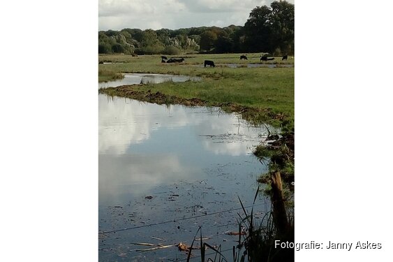 Ontdek mooi Hoonhorst