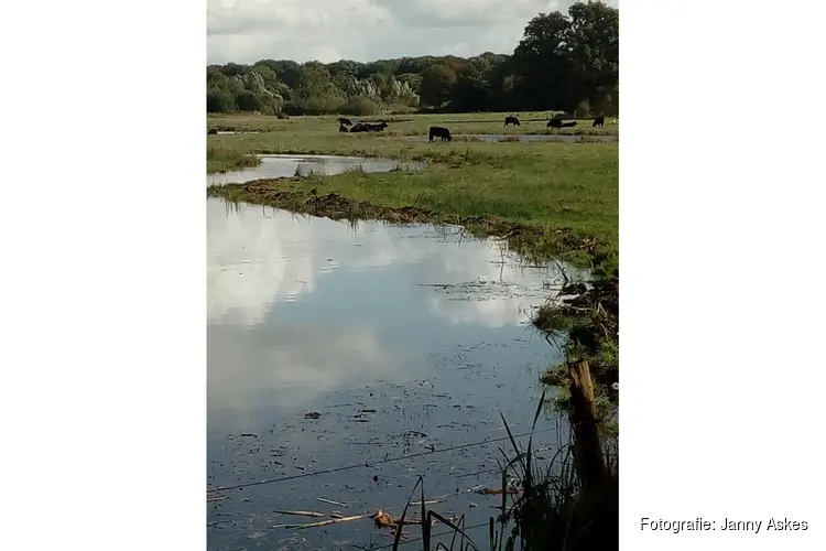 Ontdek mooi Hoonhorst