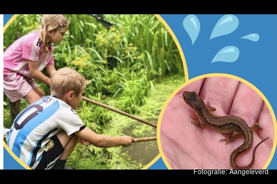 Ontdek de natuur — midden in Zwolle!
